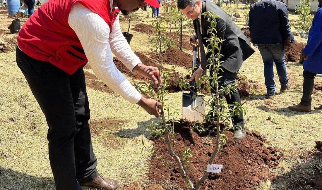 TİKA, Lesotho'ya çevre koruma