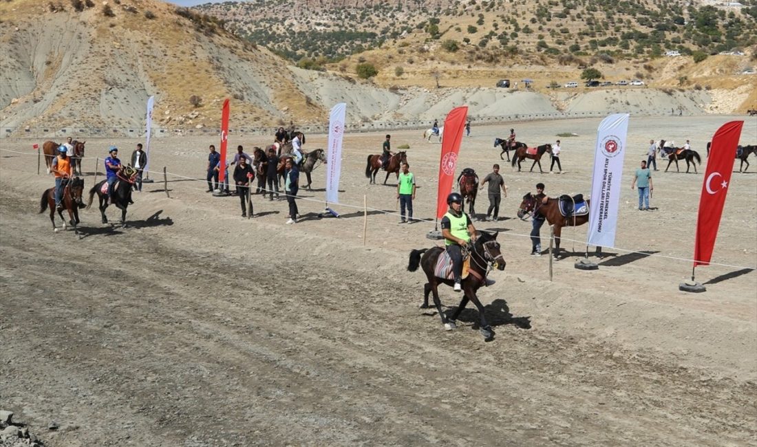 Mardin'de düzenlenen 20. Rahvan