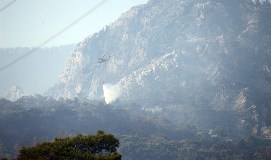 Muğla'nın Menteşe ilçesindeki orman