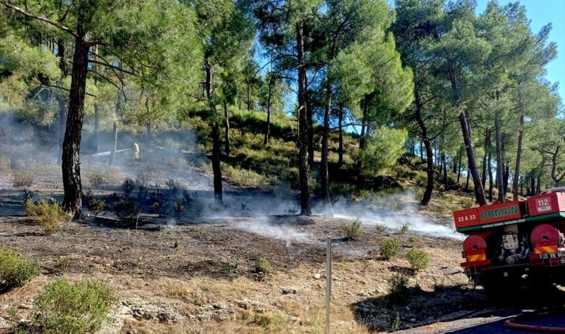 Erdemli'deki orman yangını hızlıca