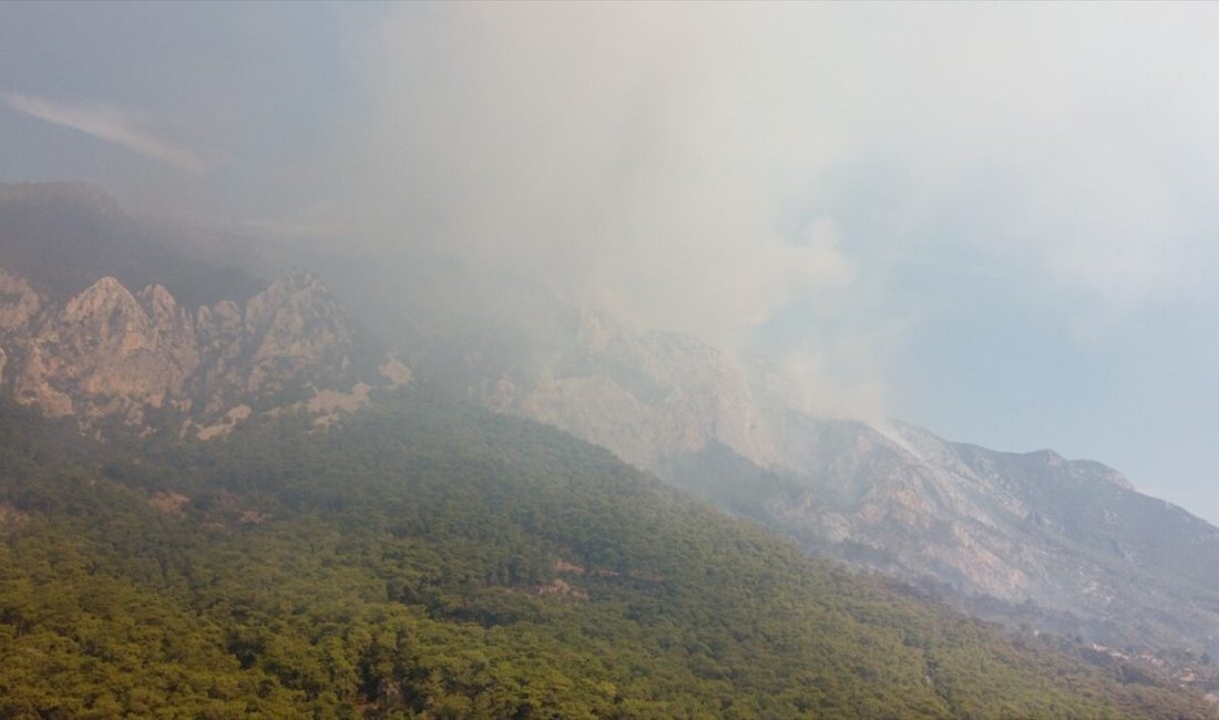 Muğla'daki orman yangınlarına 480