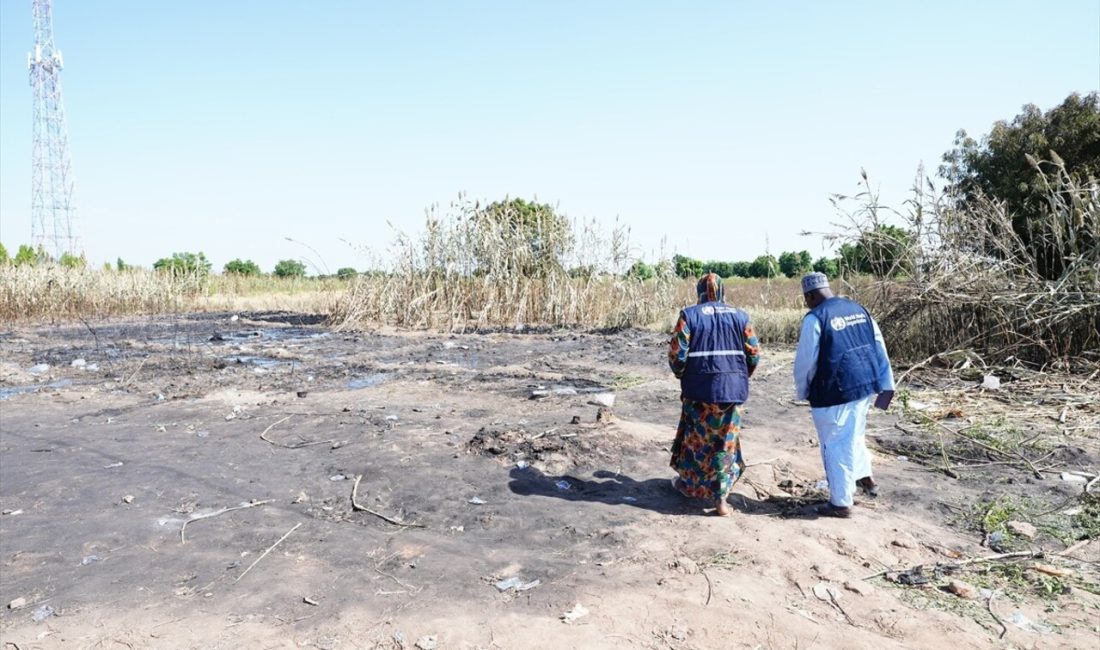 Nijerya'nın Jigawa eyaletinde bir