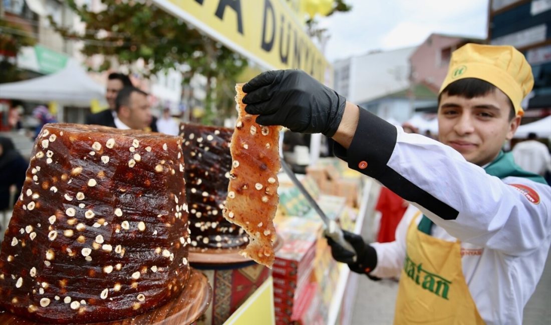 Sakarya'nın Pamukova ilçesinde 5.