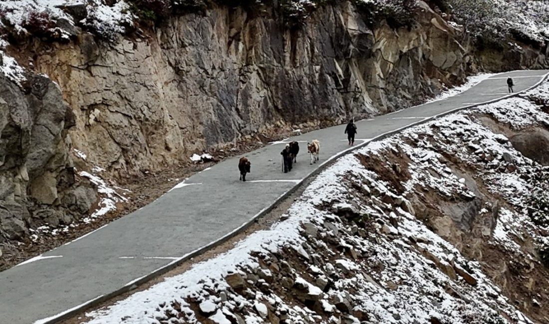 Çamlıhemşin'de yayla seferi sona