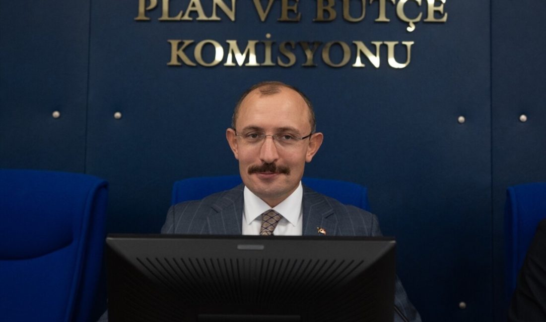 TBMM Plan ve Bütçe