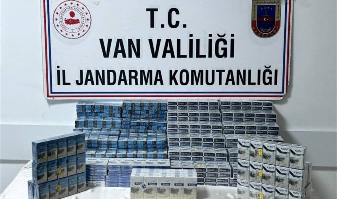 Van'da düzenlenen operasyonlarda 95