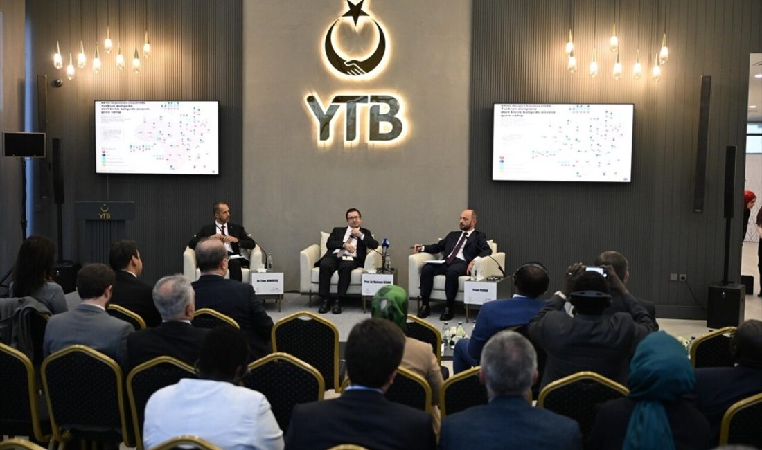 YTB, 'Afrika'nın Geleceği' panelinde