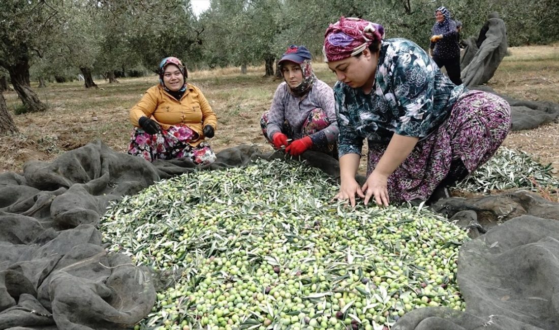 Üreticiler kuraklık endişesi taşırken,