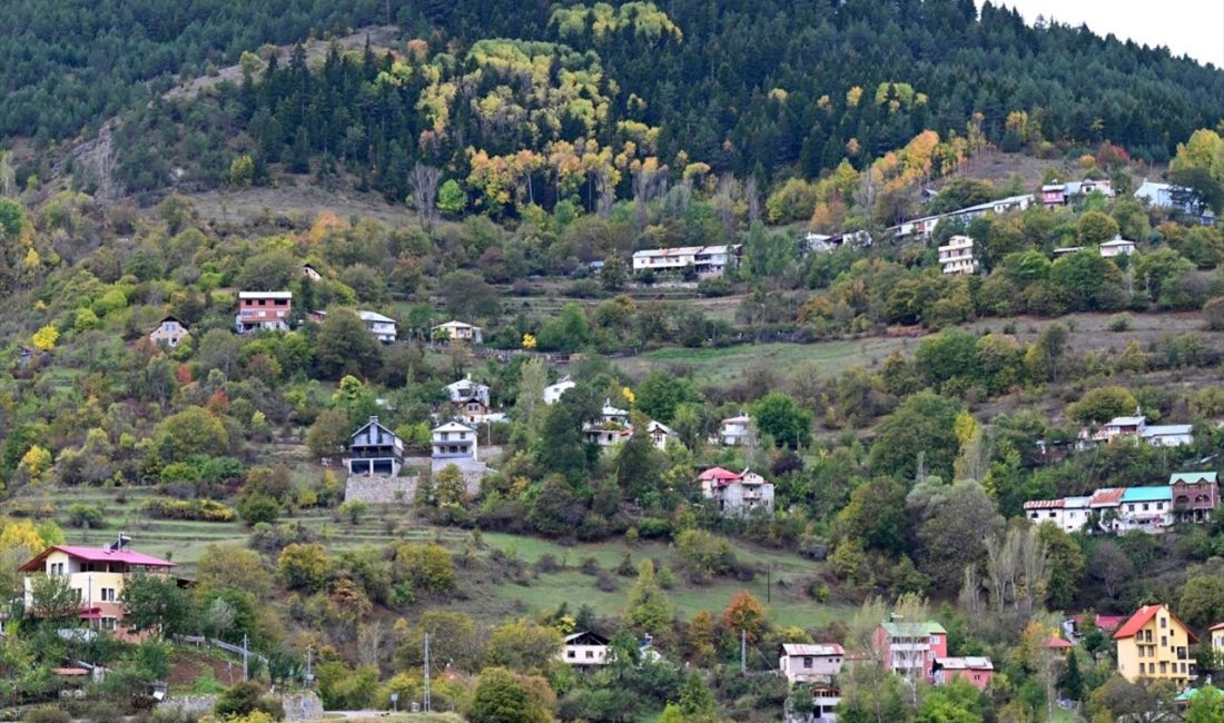 Zigana Dağı'nda sonbahar, doğanın