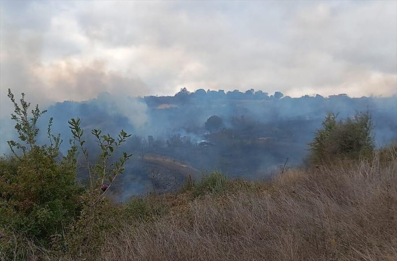 Çanakkale’nin Biga ilçesinde, henüz bilinmeyen nedenle çıkan yangına havadan ve karadan müdahale...