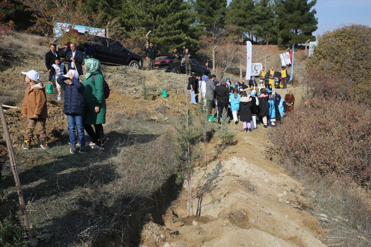 Tokat'ta 11 Kasım Milli Ağaçlandırma Günü dolayısıyla Gıjgıj mevkisindeki ağaçlandırma alanında...