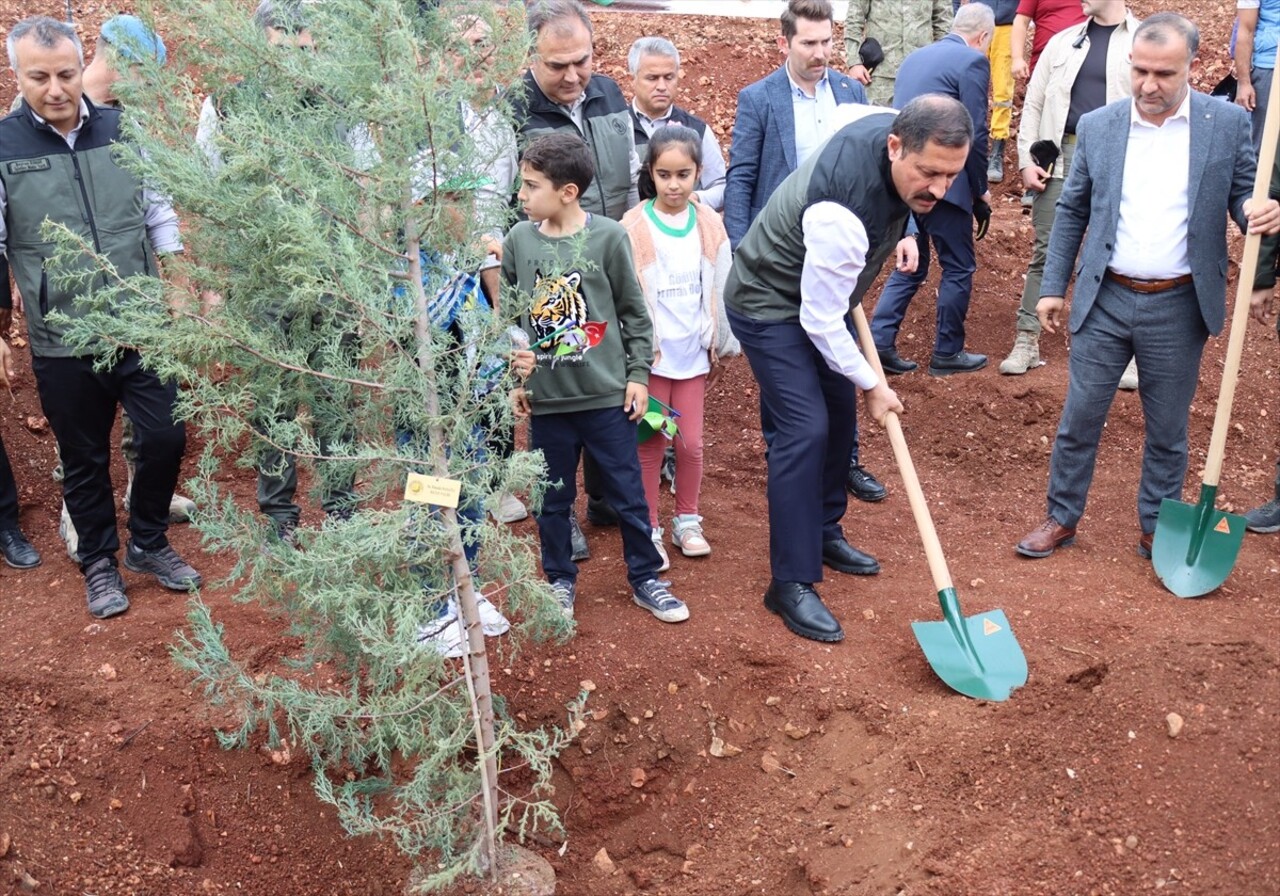 Hatay'da 11 Kasım Milli Ağaçlandırma Günü kapsamında fidan dikildi. Etkinliğe Hatay Valisi Mustafa...