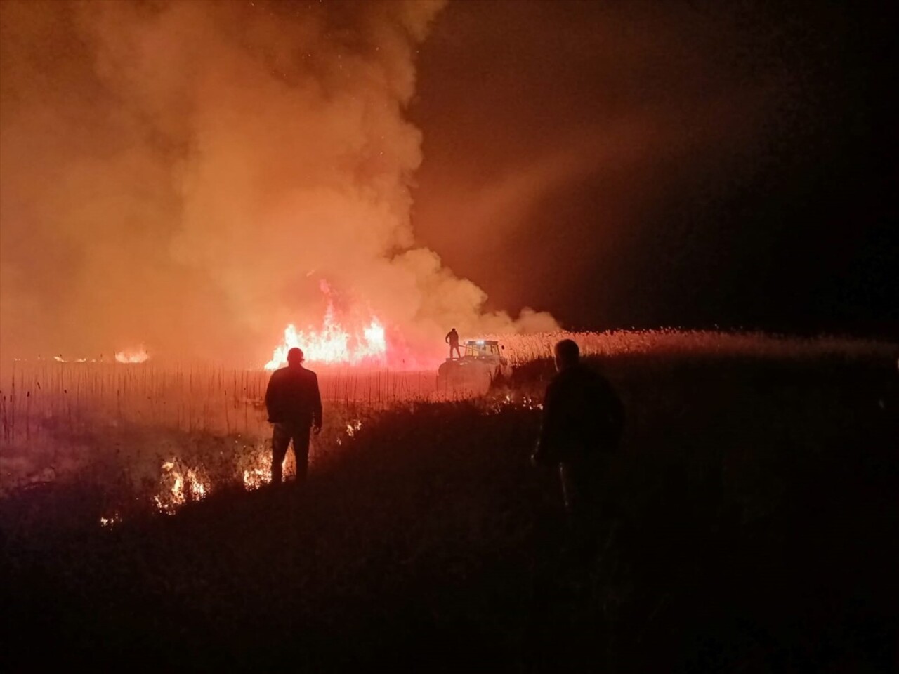 Kayseri'deki Sultan Sazlığı Milli Parkı'nın Develi ilçesi Sindelhöyük Mahallesi sınırlarındaki...