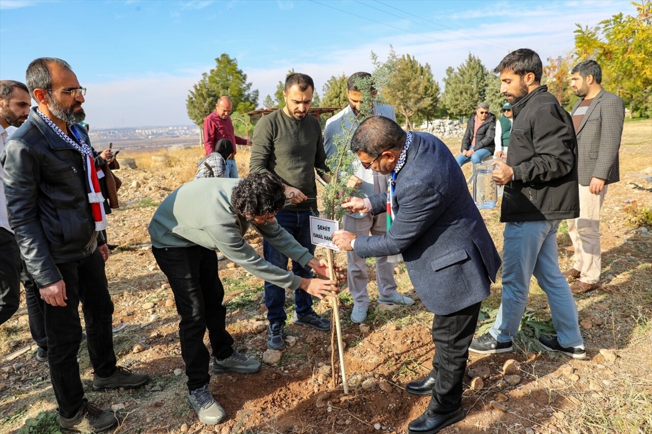 Diyarbakır'da, İsrail'in Gazze'ye yönelik saldırılarında yaşamını yitirenler anısına fidan...