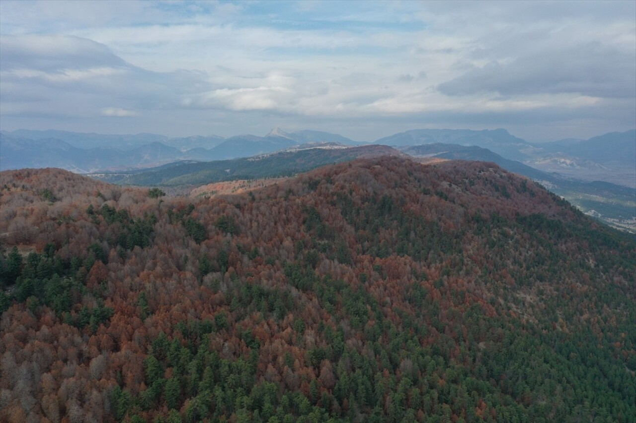 Kahramanmaraş'ın kaleleri, şelalesi ve doğal güzellikleriyle adından söz ettiren Andırın...