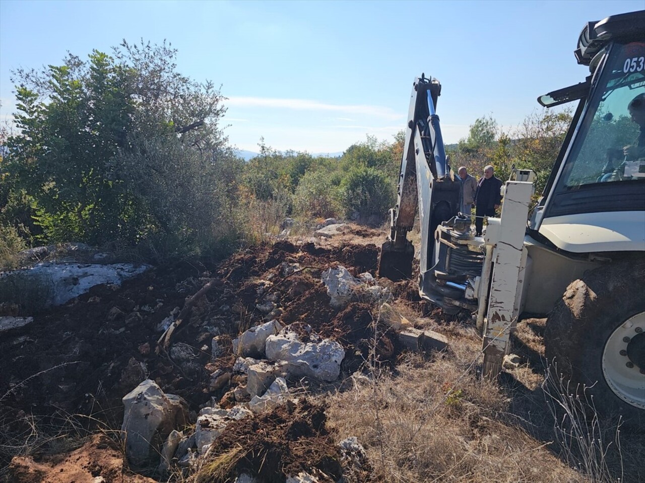 Mersin'in Tarsus ilçesinde yem tedariki yapılmadığı iddia edilen bir piliç üretim çiftliğindeki...