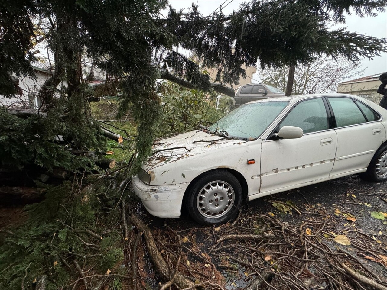 İstanbul'da, etkili olan sağanak ve rüzgar nedeniyle bazı yerlerde ağaçlar yola devrildi...