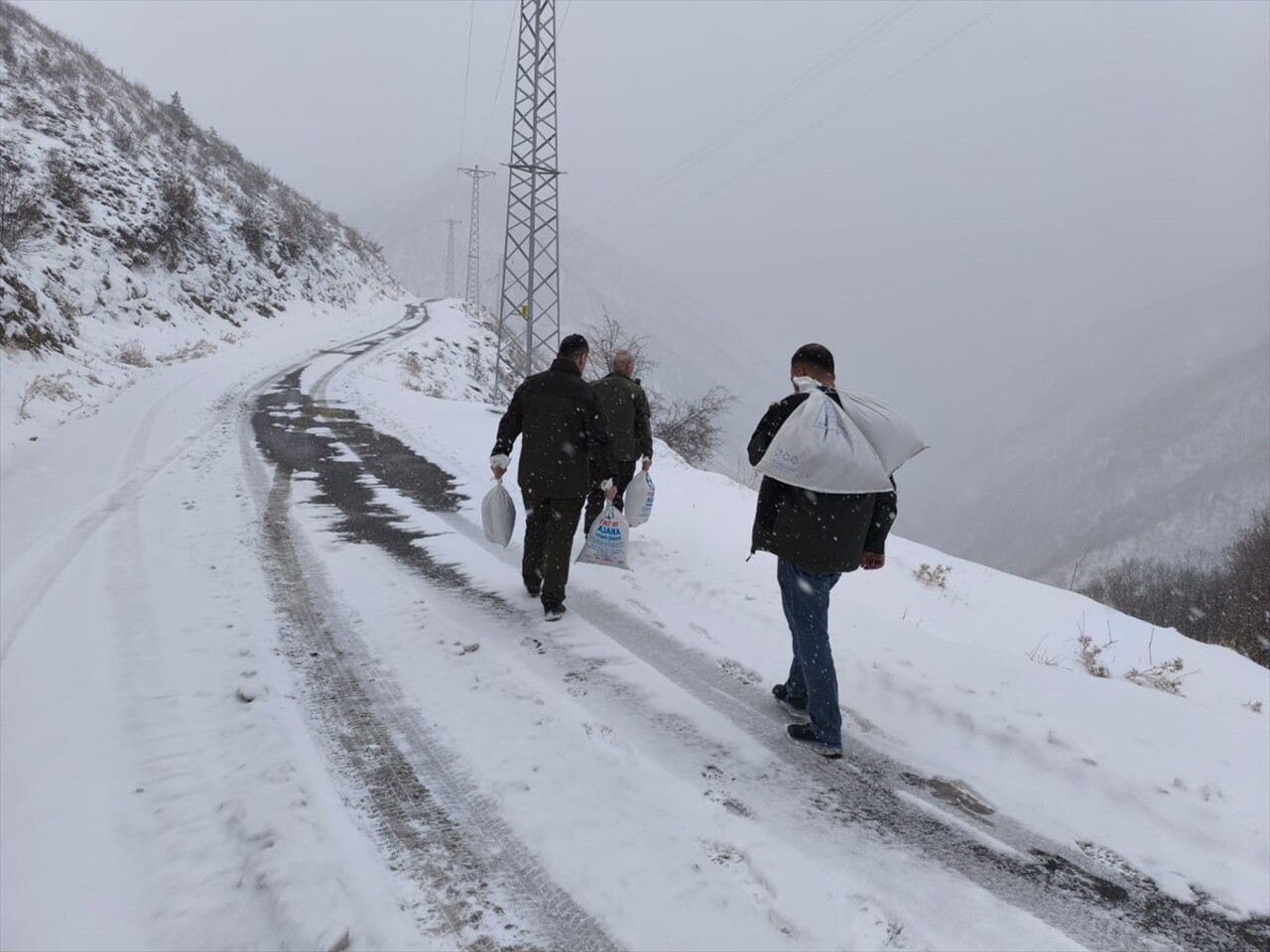 Siirt'te, olumsuz hava koşulları nedeniyle yiyecek bulmakta zorlanan yaban hayvanları için doğaya...