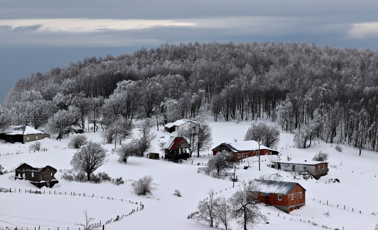 Samsun'un Atakum ilçesinde 1350 rakımda bulunan Kocadağ Yaylası, kar yağışının ardından beyaz...