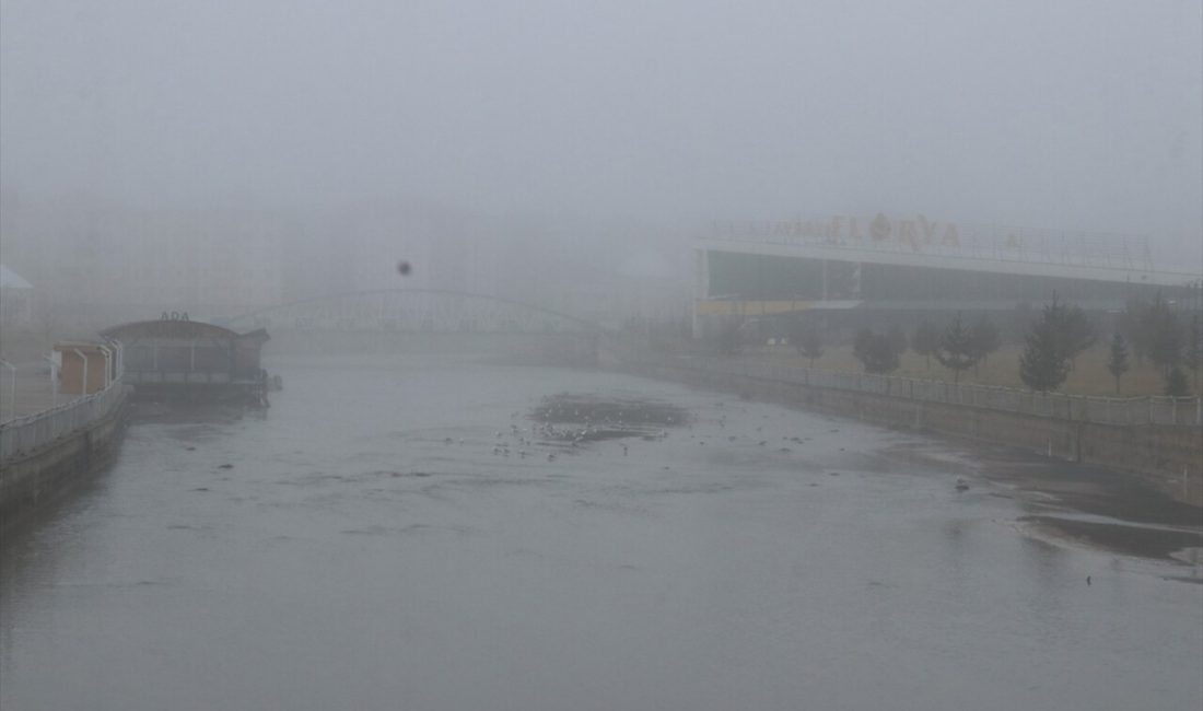 Ağrı'da yoğun kar yağışı