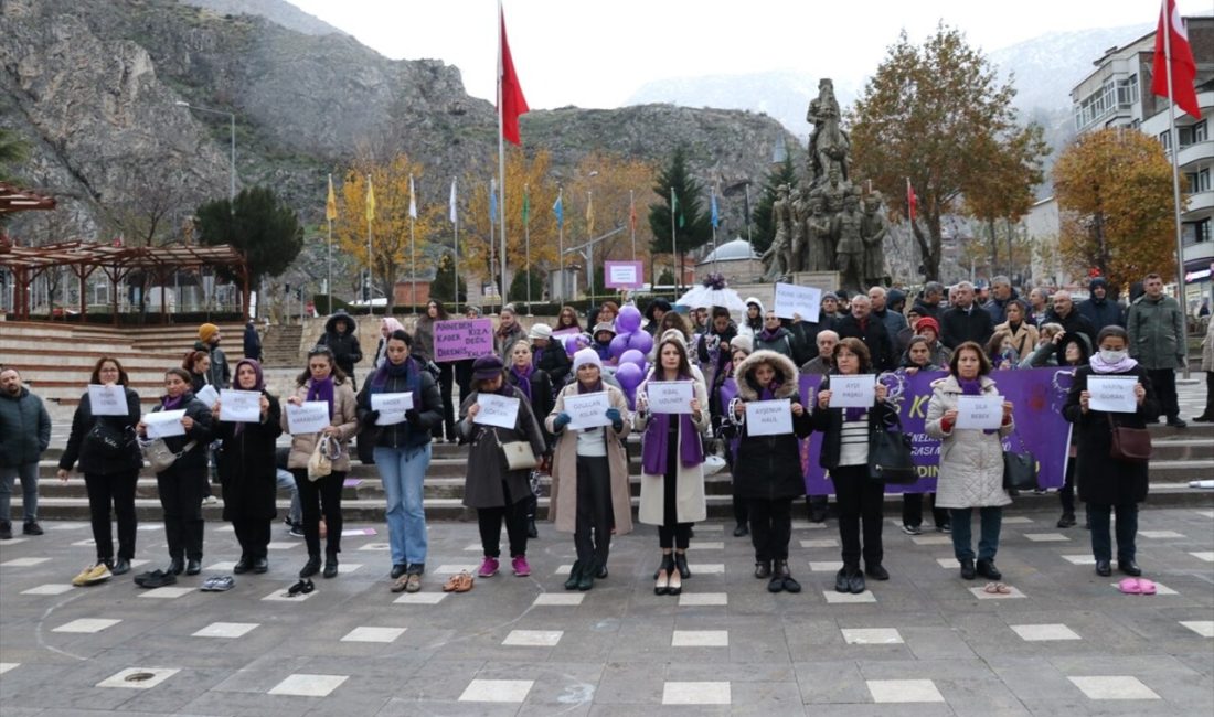 Amasya'da kadınlar, kadına yönelik