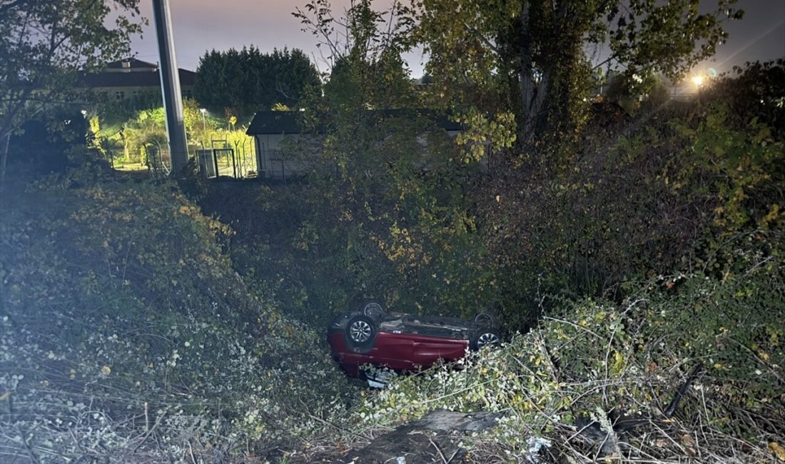 Sakarya'da devrilen otomobilde iki