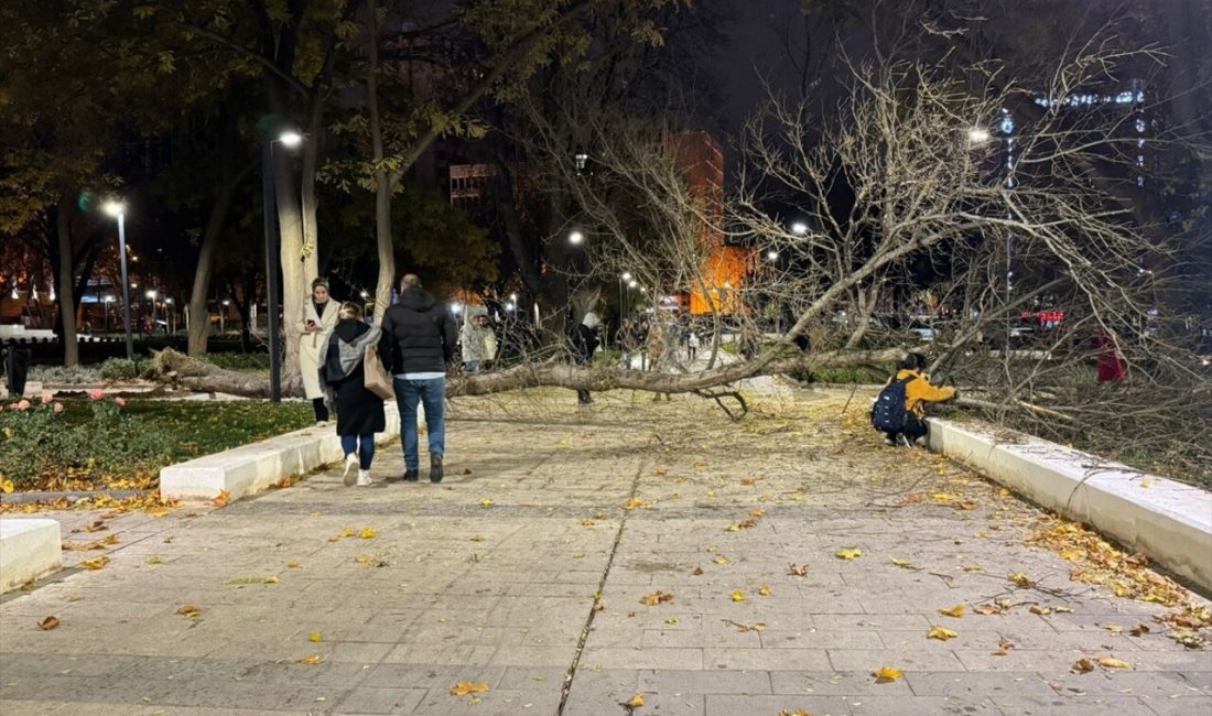 Ankara'nın Çankaya ilçesinde rüzgar