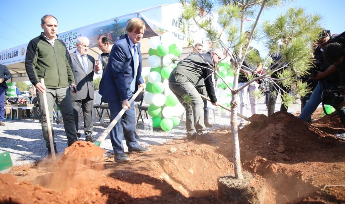 Antalya ve çevresindeki illerde,