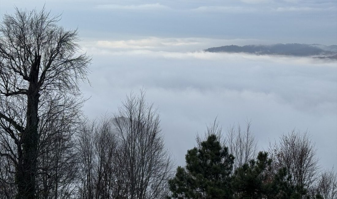 Bolu Dağı'nın dinlenme tesisleri,