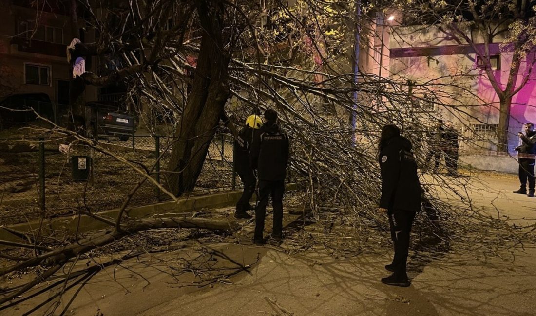 Bursa'da etkili olan kuvvetli