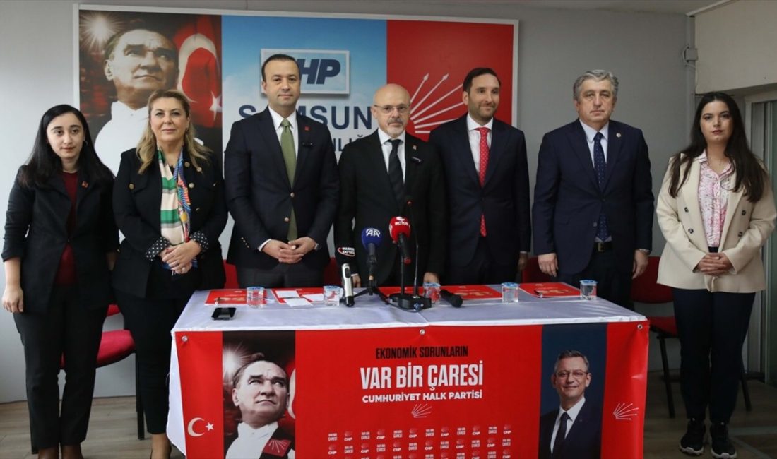 CHP Genel Başkan Yardımcısı