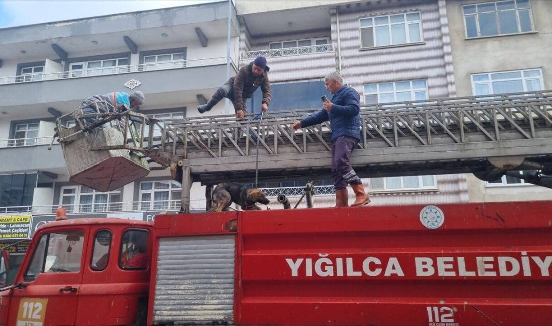 Düzce'nin Yığılca ilçesinde itfaiye,