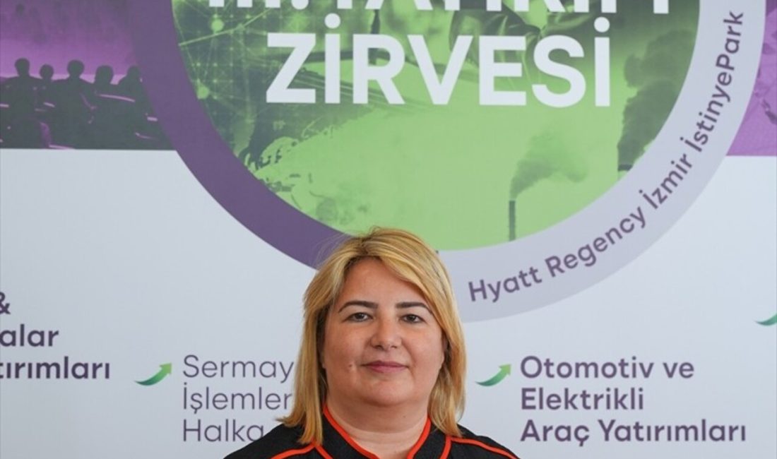 Sibel Zorlu, Çinli firmaların