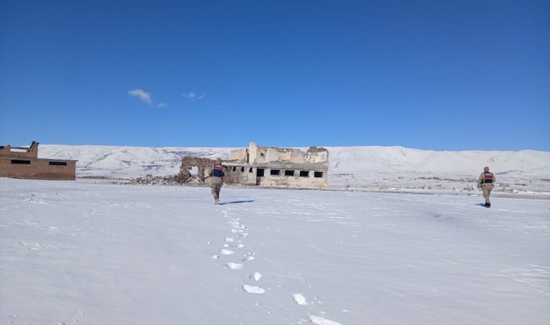 12 düzensiz göçmen, Erzurum'da