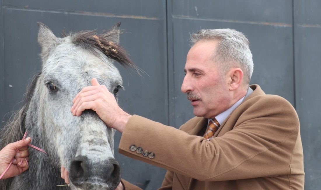 Erzurum'da soğuktan donduğu düşünülen