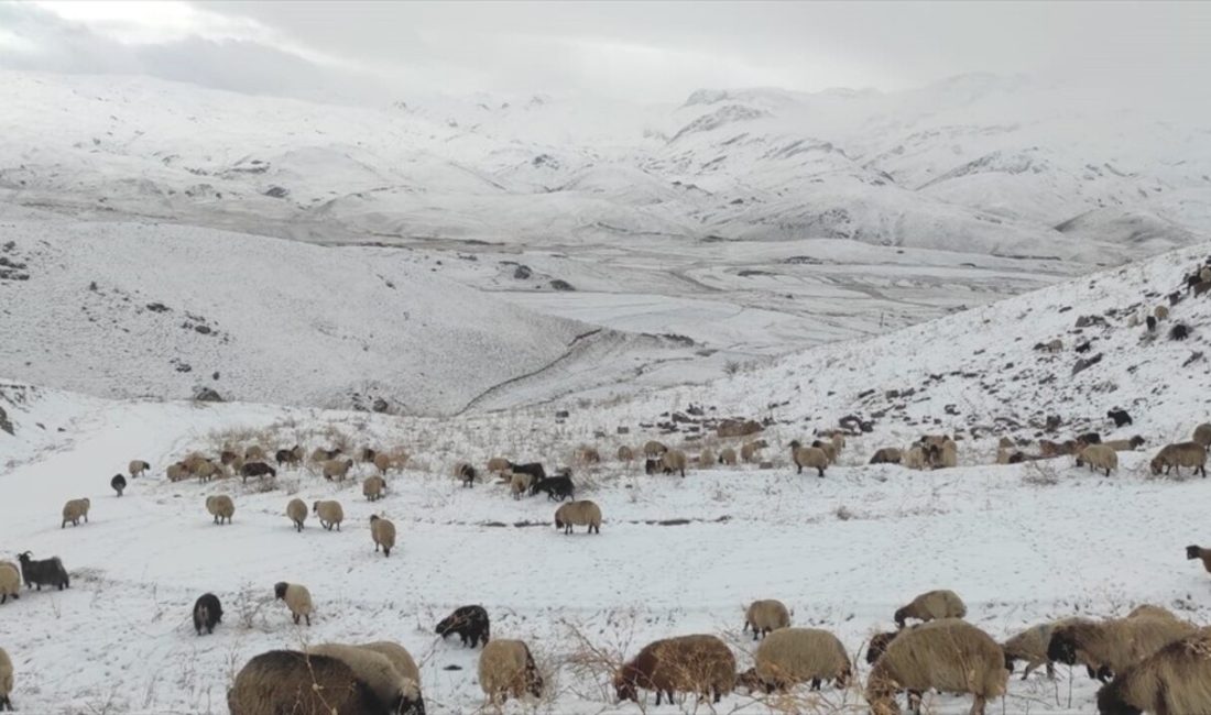 Şırnak'ın Faraşin Yaylası'nda etkili