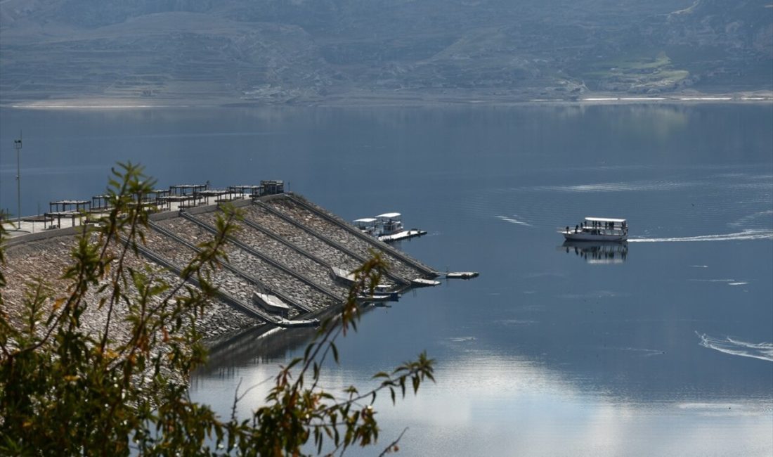 Hasankeyf Kaymakamı, 2025'te 250