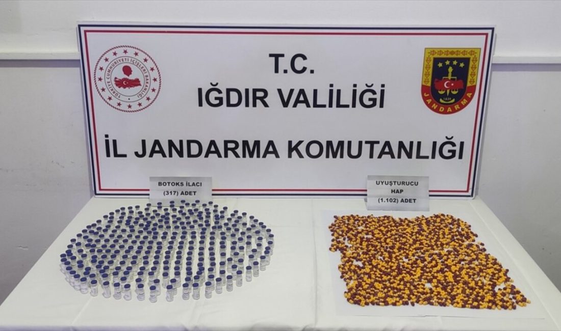 Iğdır'da düzenlenen botoks kaçakçılığı