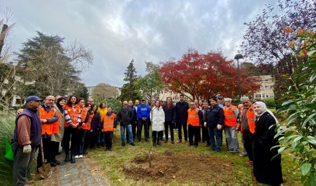 1071 fidan, İstanbul Üniversitesi-Cerrahpaşa'nın