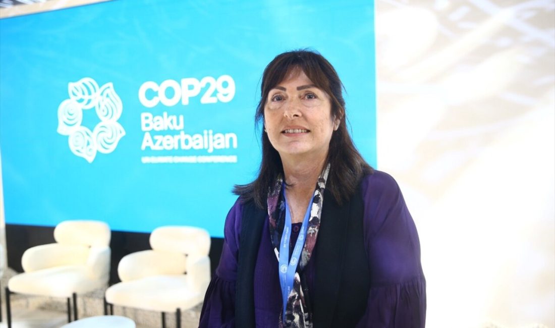 Türkiye pavilyonu, COP29 sırasında