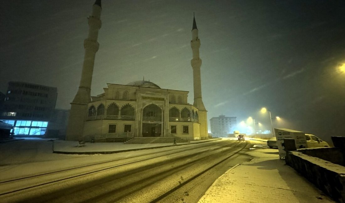 Kars ve Ardahan'da etkili