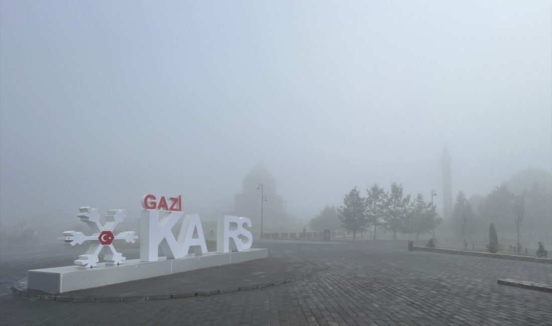 Kars'ta etkili olan yoğun