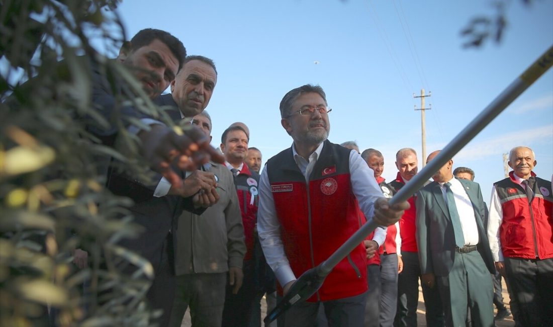 Bakan Yumaklı, Musabeyli Barajı