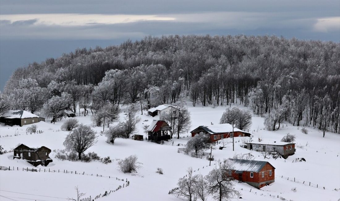 Samsun'un doğa harikası Kocadağ