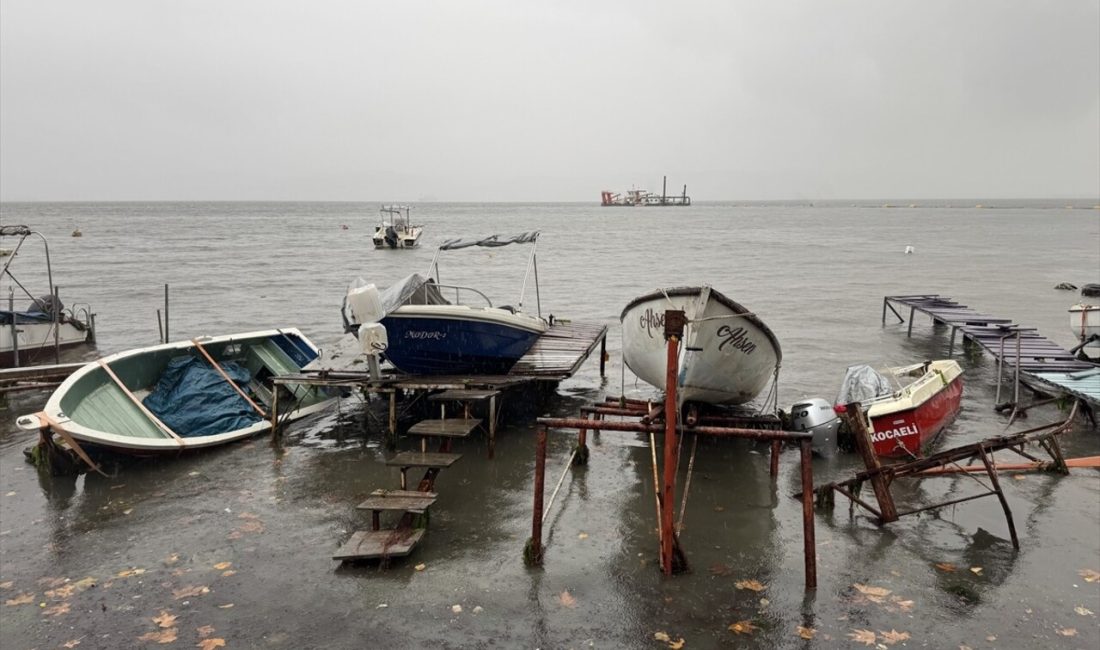 Kocaeli, Bolu ve Düzce'de