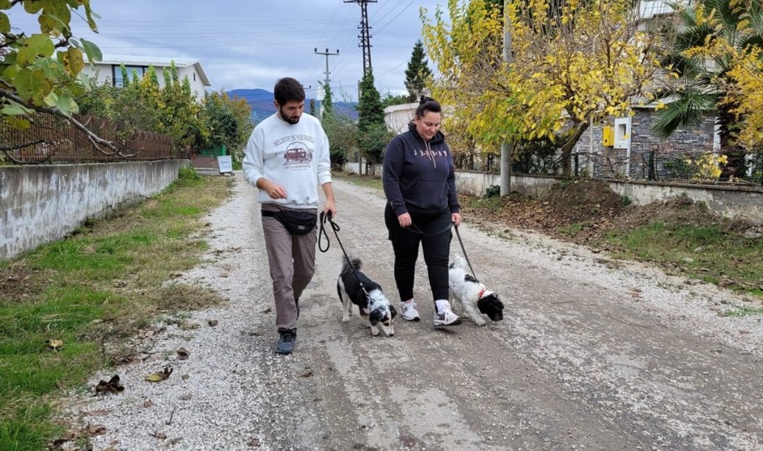 Köpek eğitimi uzmanı Baybars