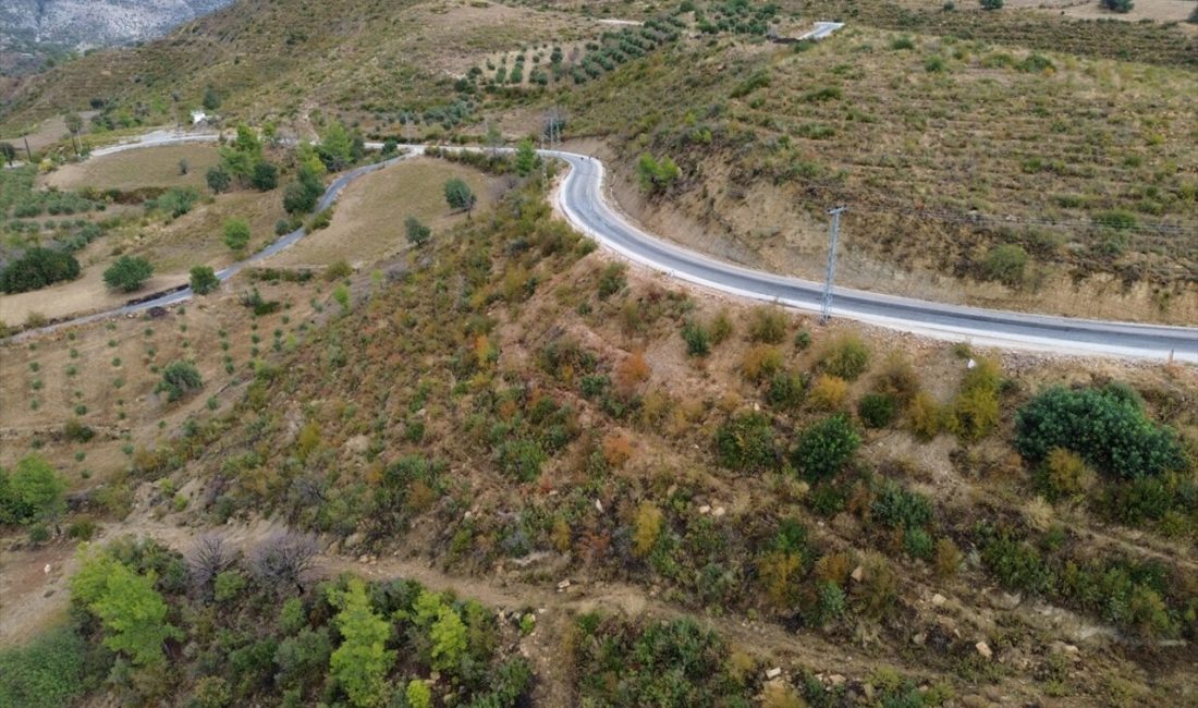 Manavgat’ta yangın sonrası yapılan