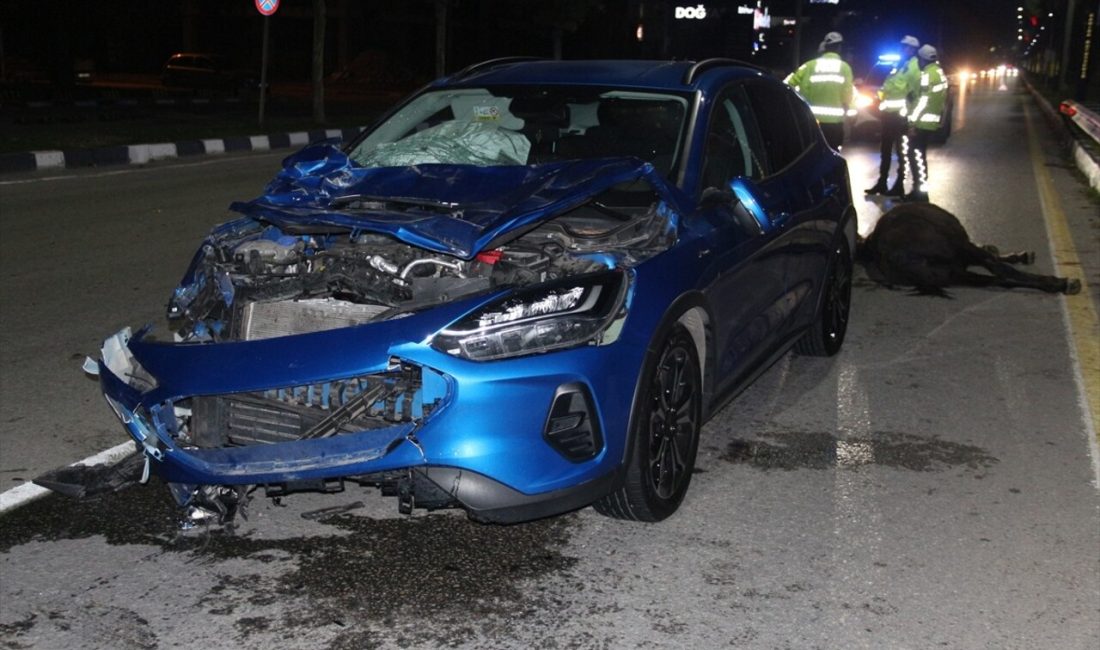 Manisa'da yola çıkan bir