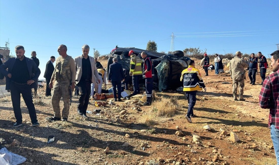 Mardin'in Dargeçit ilçesinde meydana