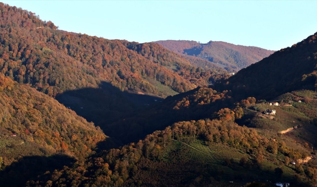 Samsun'daki Nebiyan Dağı, sonbahar